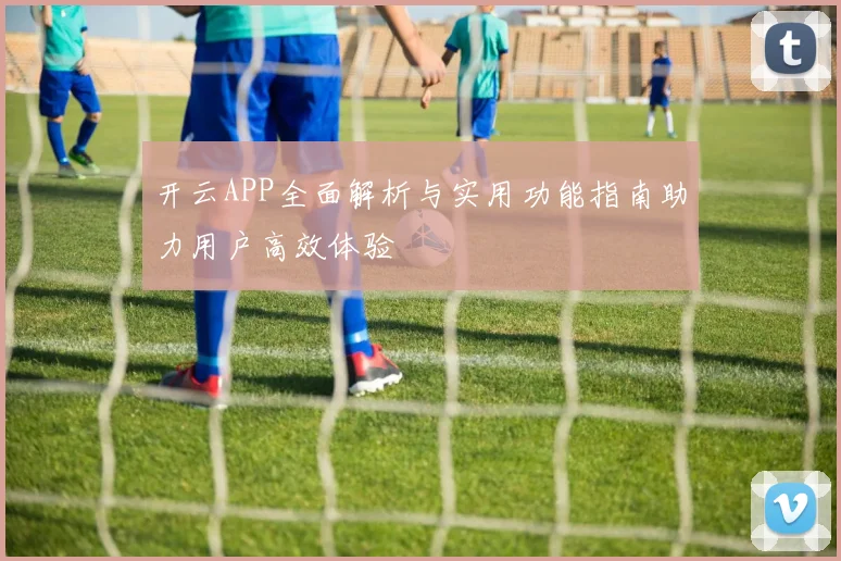 开云APP全面解析与实用功能指南助力用户高效体验
